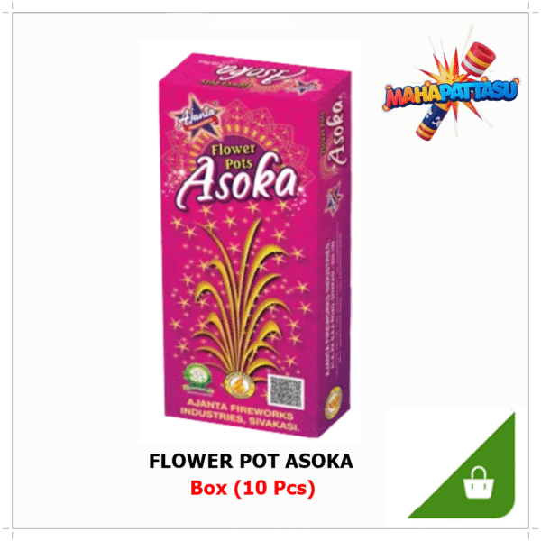 Flower Pot Asoka